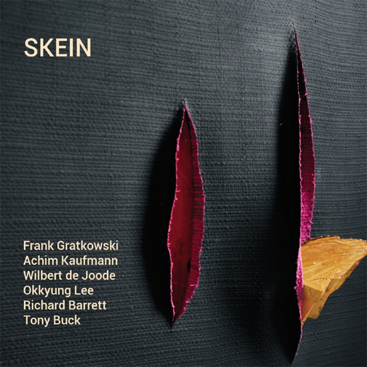 Skein (feat. Achim Kaufmann, Wilbert de Joode, Okkyung Lee, Richard Barrett & Tony Buck) by Frank Gratkowski album cover