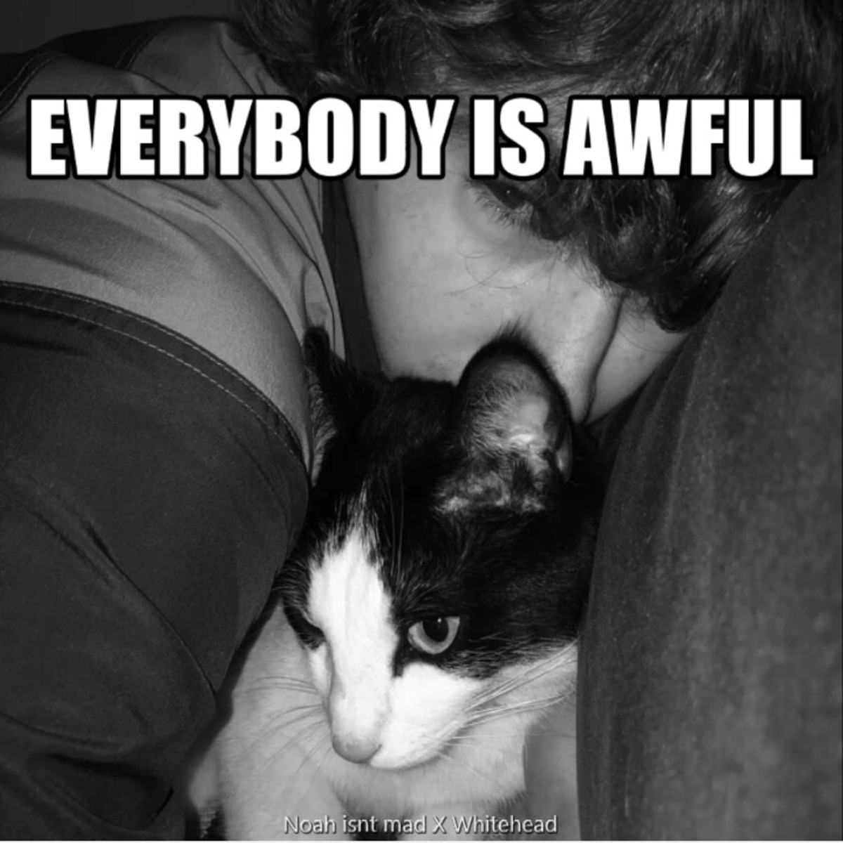 Everybody Is awful - Single by Estiwi album cover