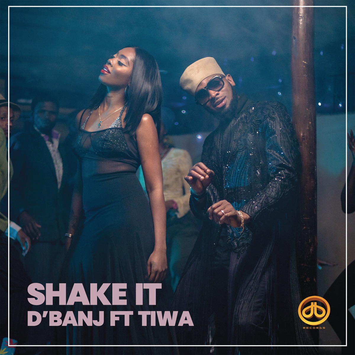 Shake It (feat. Tiwa Savage) - Single by D'banj album cover