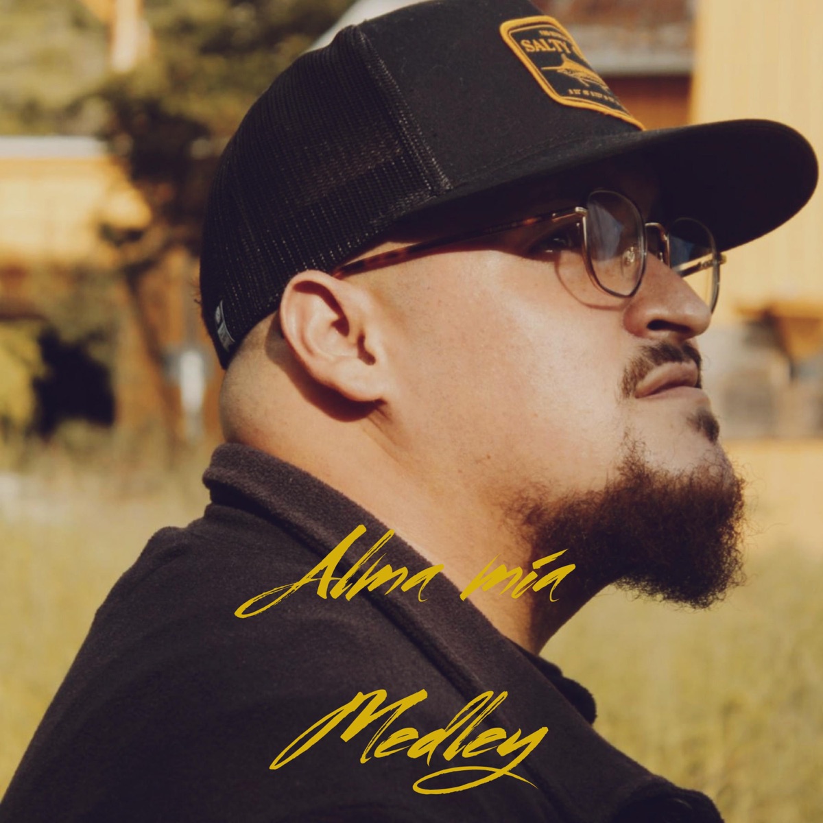 Alma mia / Medley - Single by Angel David Music album cover