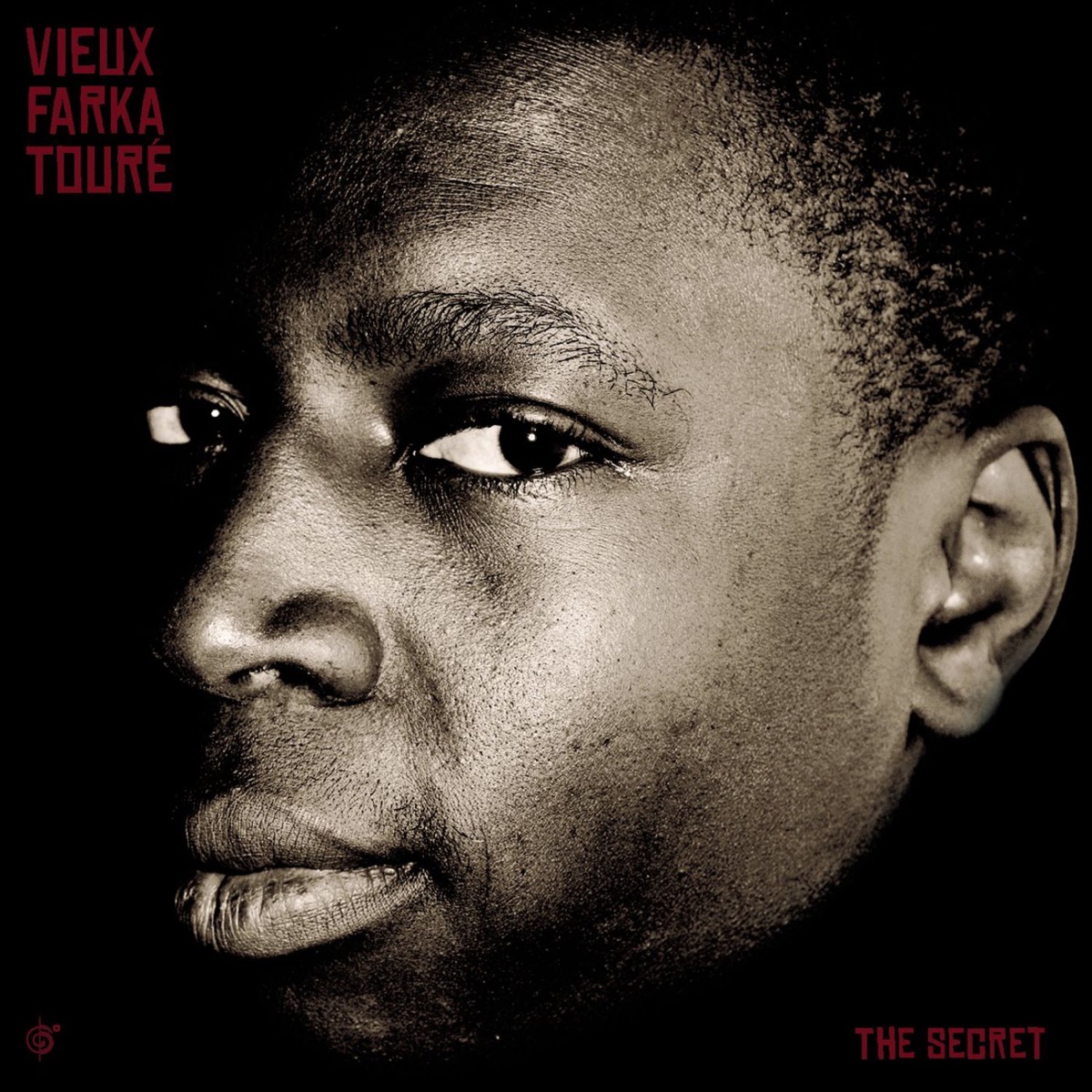 The Secret by Vieux Farka Touré album cover