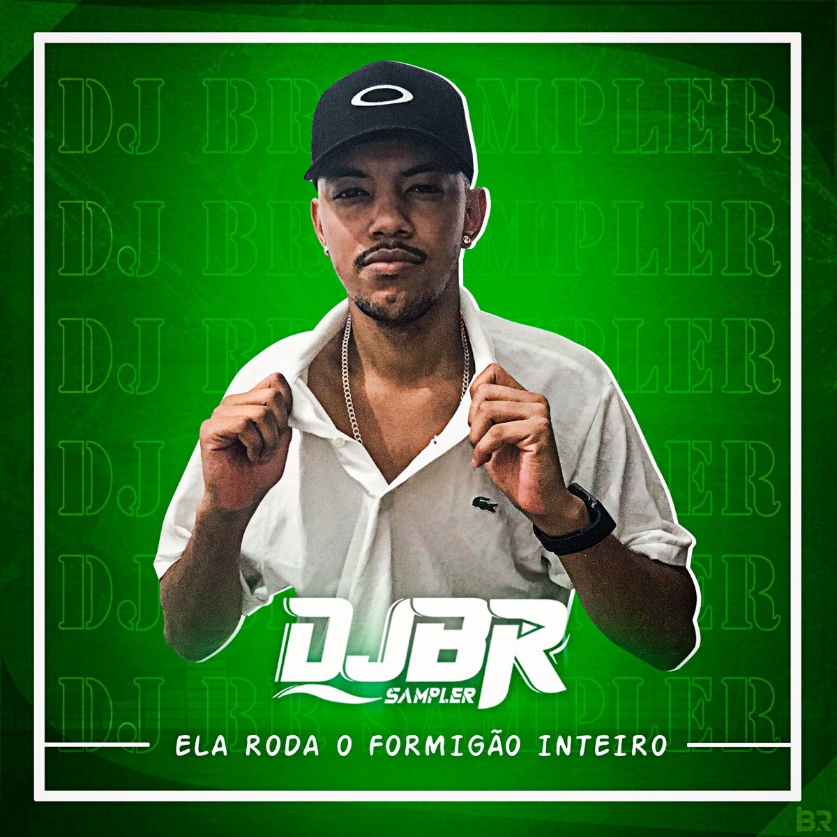 Ela Roda o Formigão Inteiro (feat. Mc R6, mc Braza & MC CN) - Single by DJ BR SAMPLER album cover