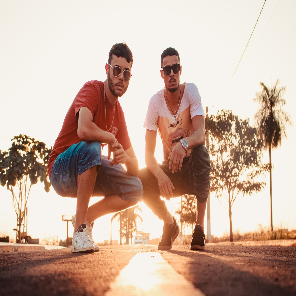 Não Vai Voltar - Single by Will & Endres album cover