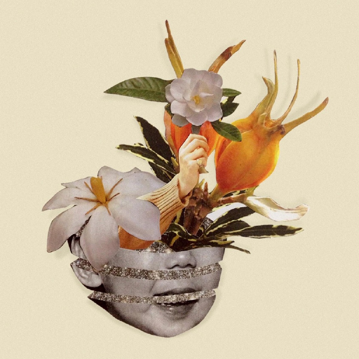 梔子 by Kohh album cover