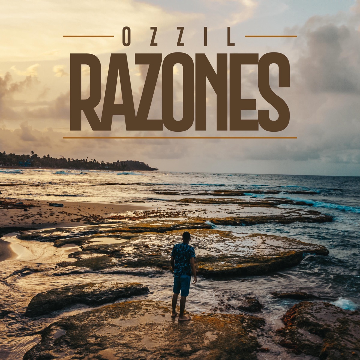 Razones - Single by Ozzil album cover