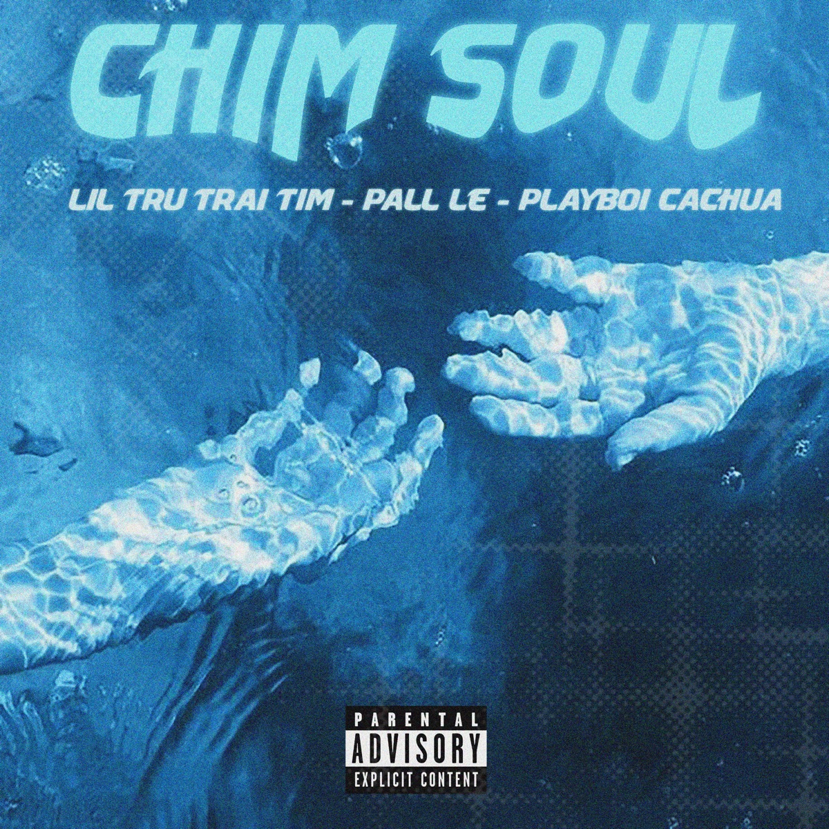 Chim Soul (feat. RJ Pasin) - Single by Lil Trữ Trái Tim, Pall Lê & Playboi Cachua album cover