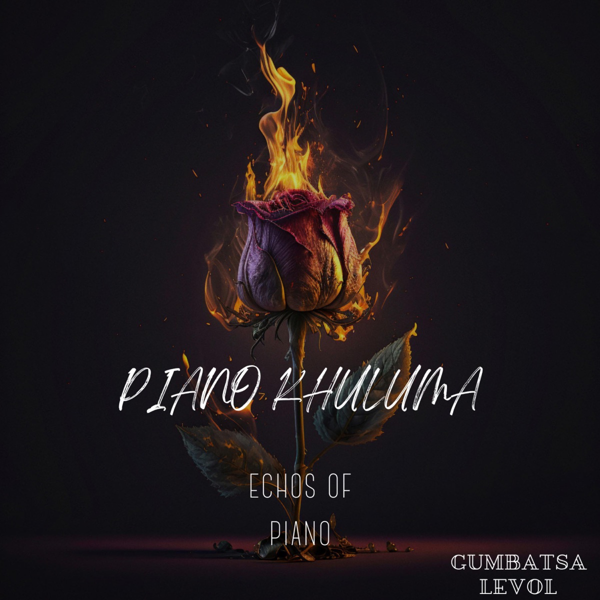 Piano Khuluma - Single by Echos of Piano album cover