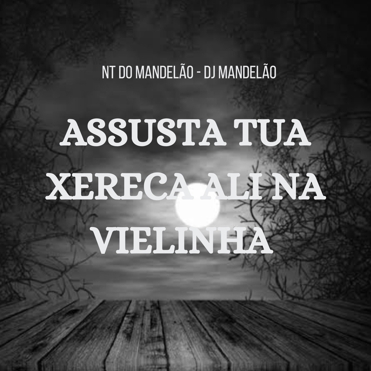 Assusta Tua Xereca Ali na Vielinha - Single by Nt do Mandelão & DJ Mandelão album cover