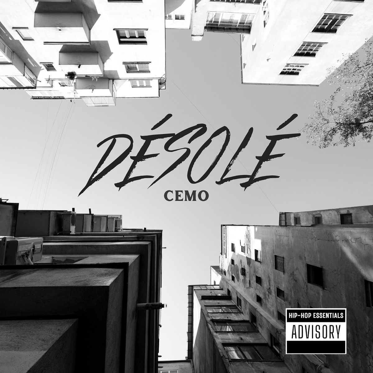 Désolé - Single by CEMO album cover