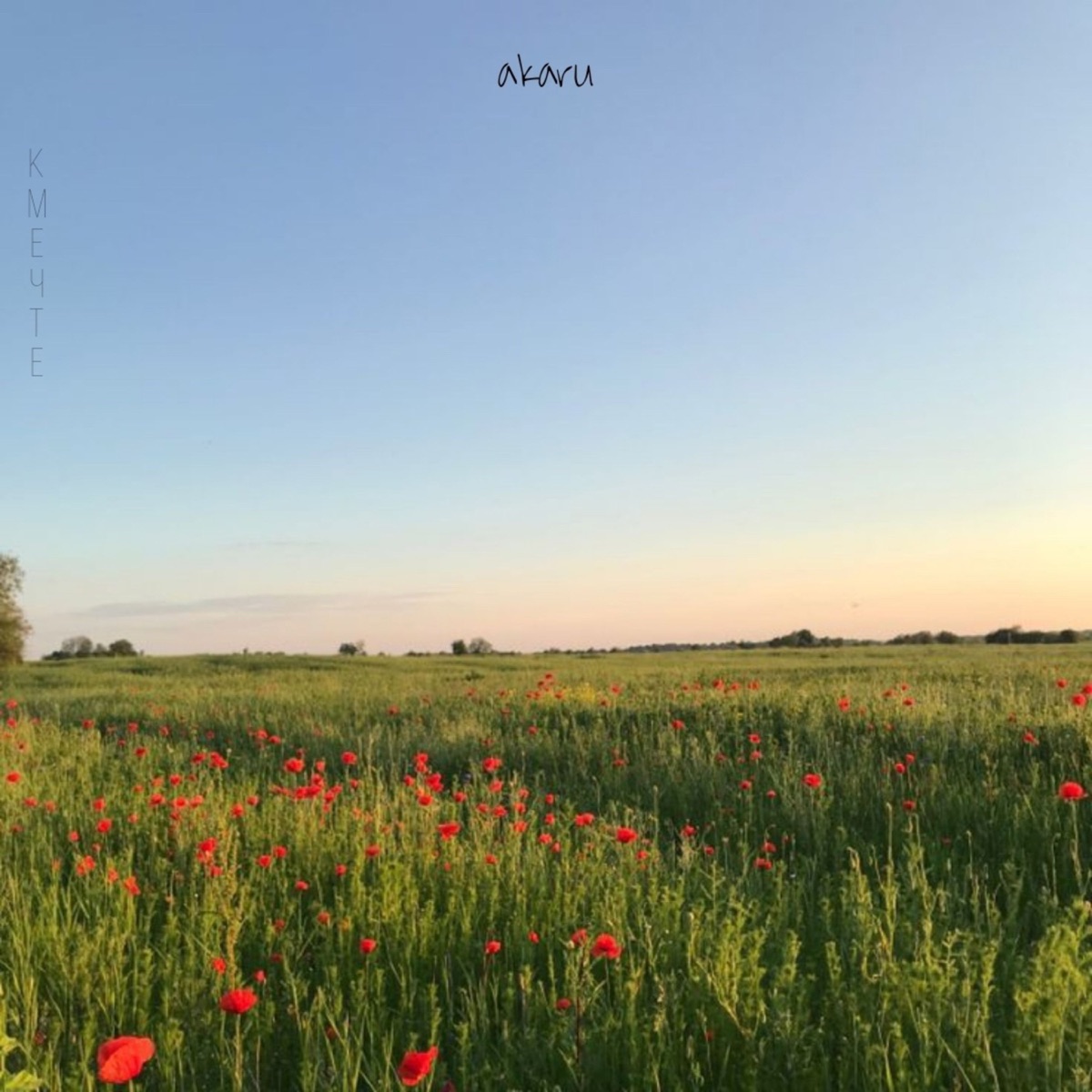 к мечте - Single by Akaru album cover