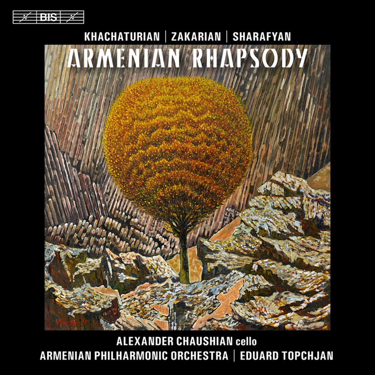 Armenian Rhapsody by Alexander Chaushian album cover