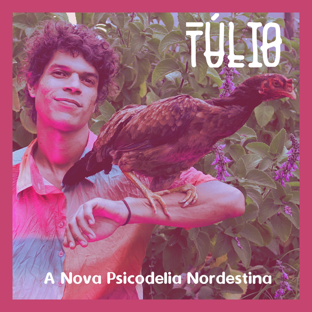 A Nova Psicodelia Nordestina - EP by Túlio Fernandes album cover