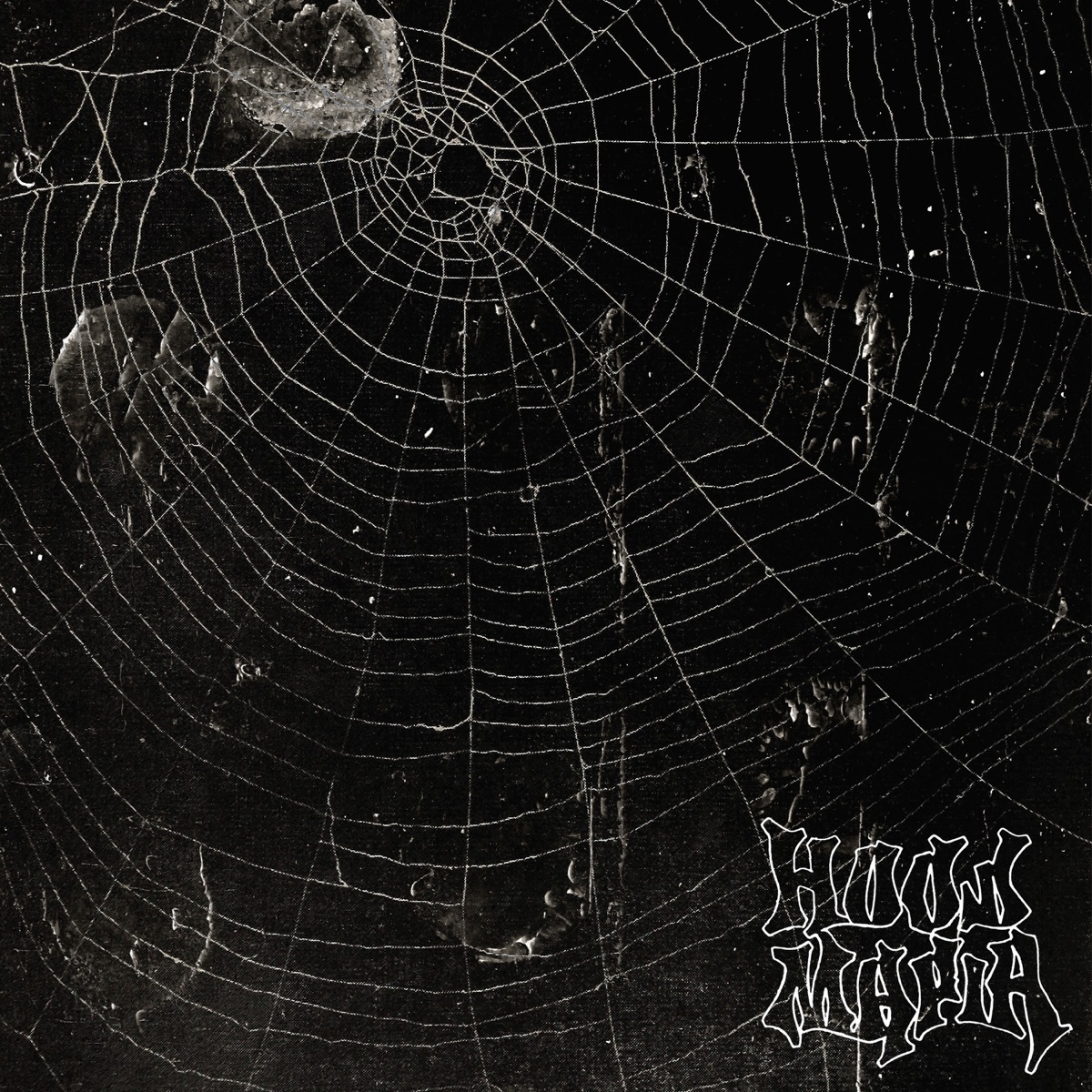 JUDG JUNK - Single by HOODMAFIA & SPYDER550 album cover
