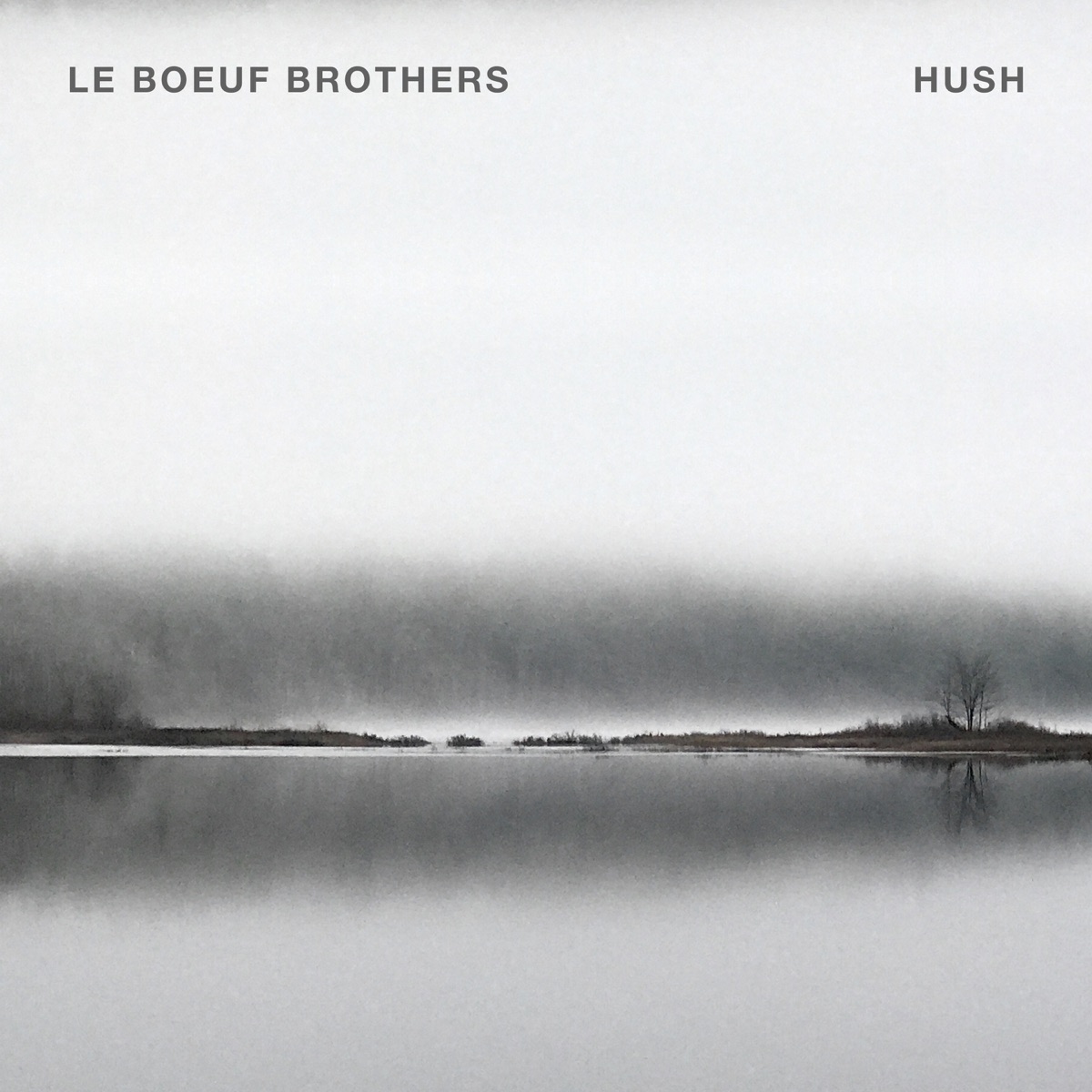 HUSH (feat. Remy Le Boeuf & Pascal Le Boeuf) by Le Boeuf Brothers album cover