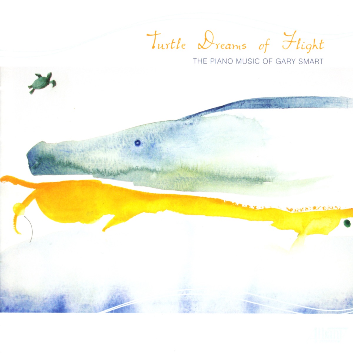 Turtle Dreams of Flight: The Piano Music of Gary Smart by Gary Smart album cover
