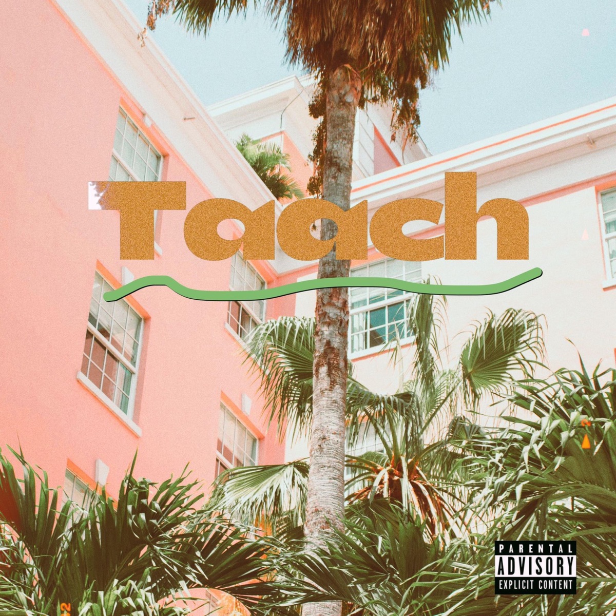 Taach (feat. Rufaro & Papii Nxrth) - Single by Lucid & Terranova album cover