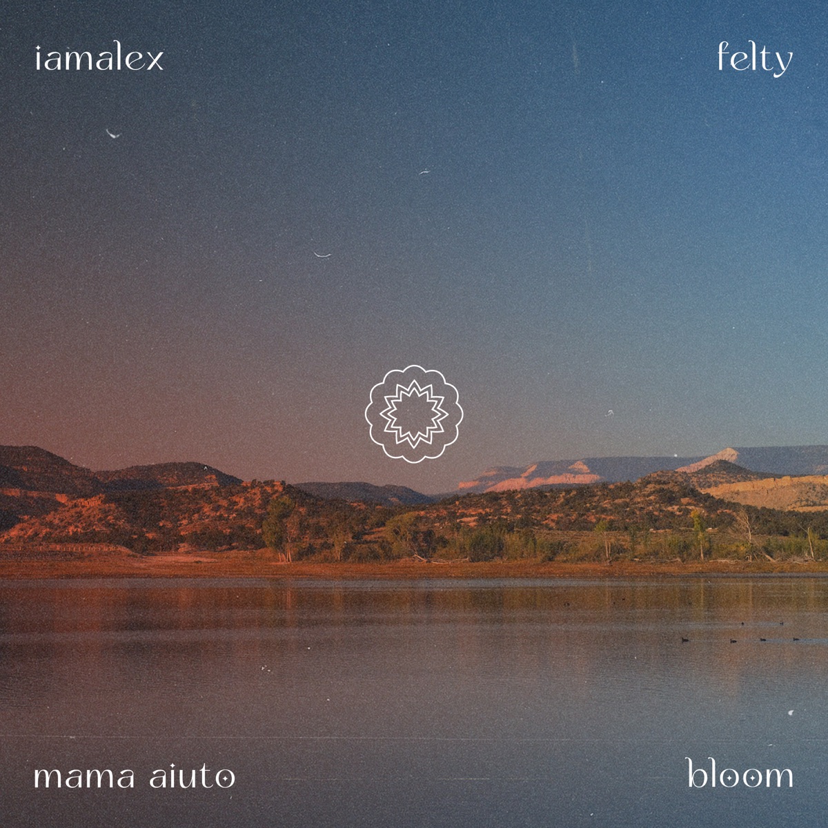 Bloom - Single by iamalex, Felty & Mama Aiuto album cover