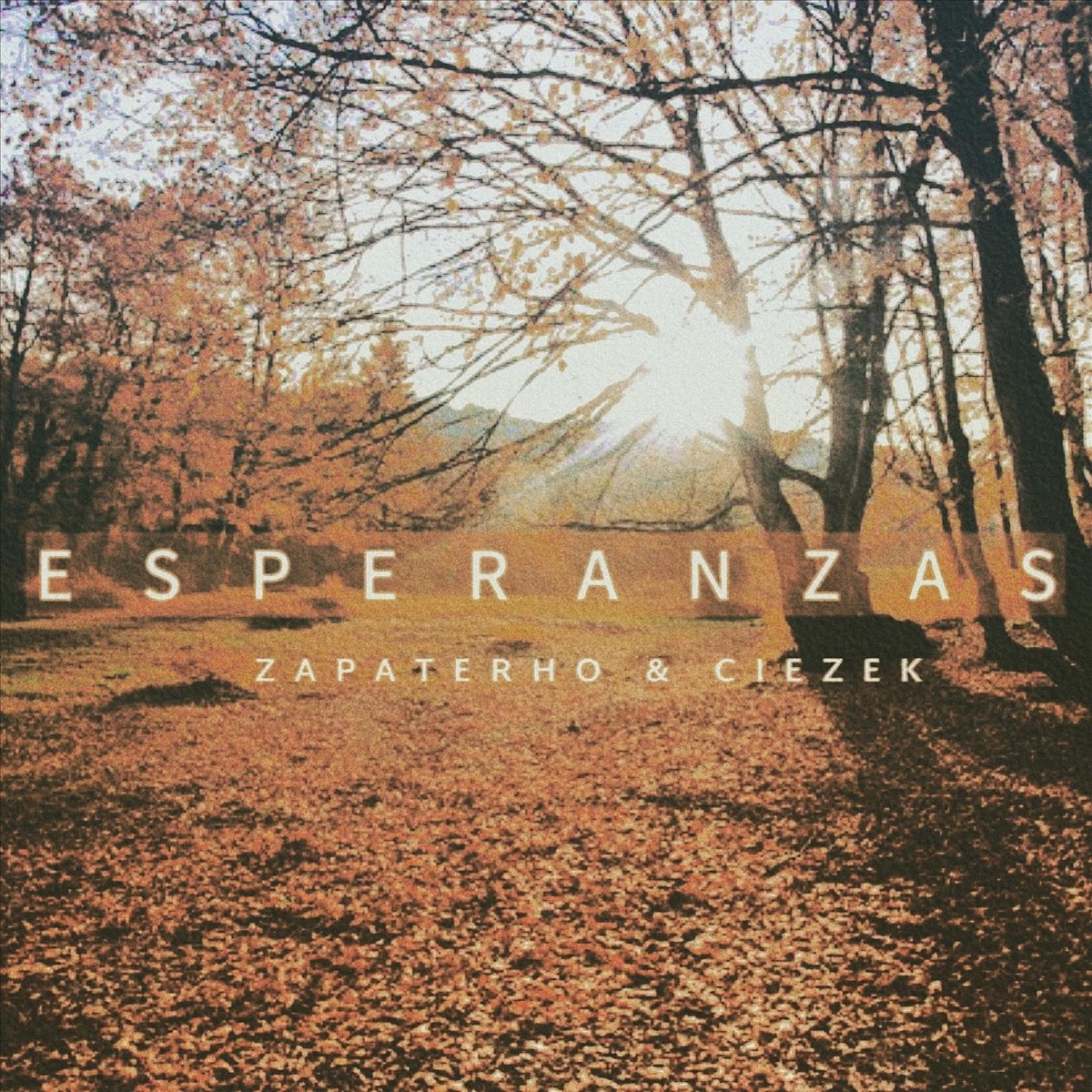 Esperanzas - Single by Zapaterho & ciezek album cover