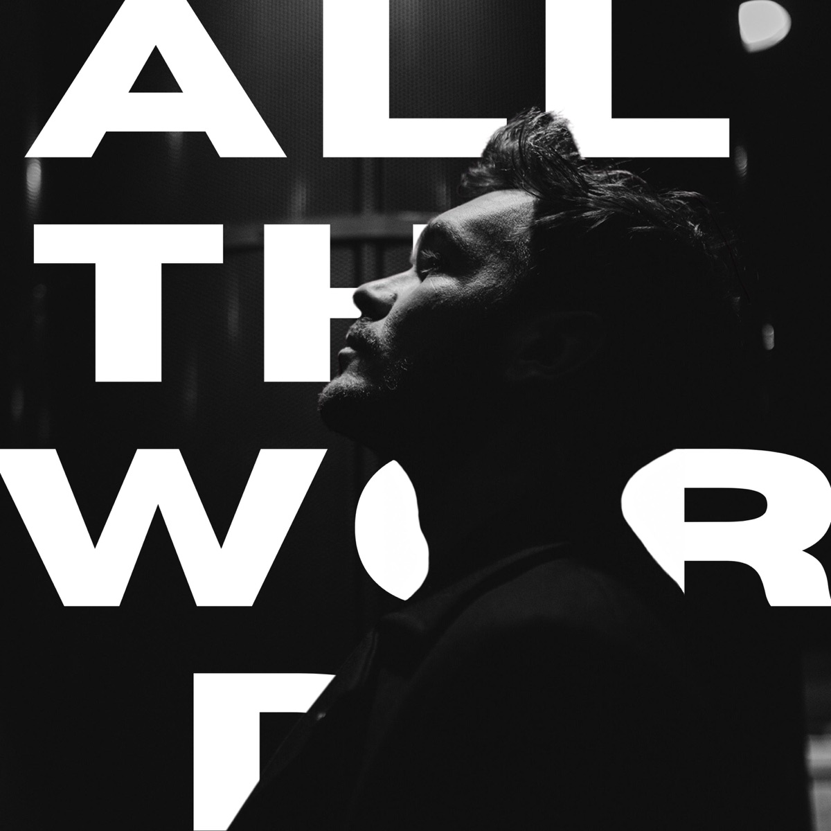 All The Words - Single by Staszek Plewniak album cover