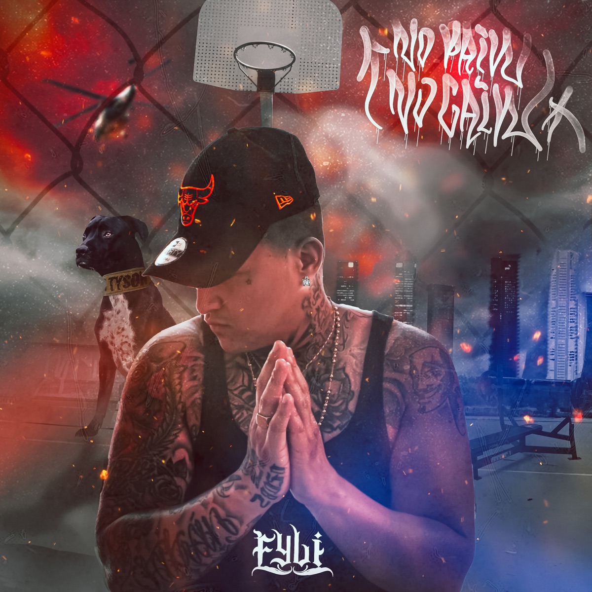 NO PAIN NO GAIN by Fyli album cover