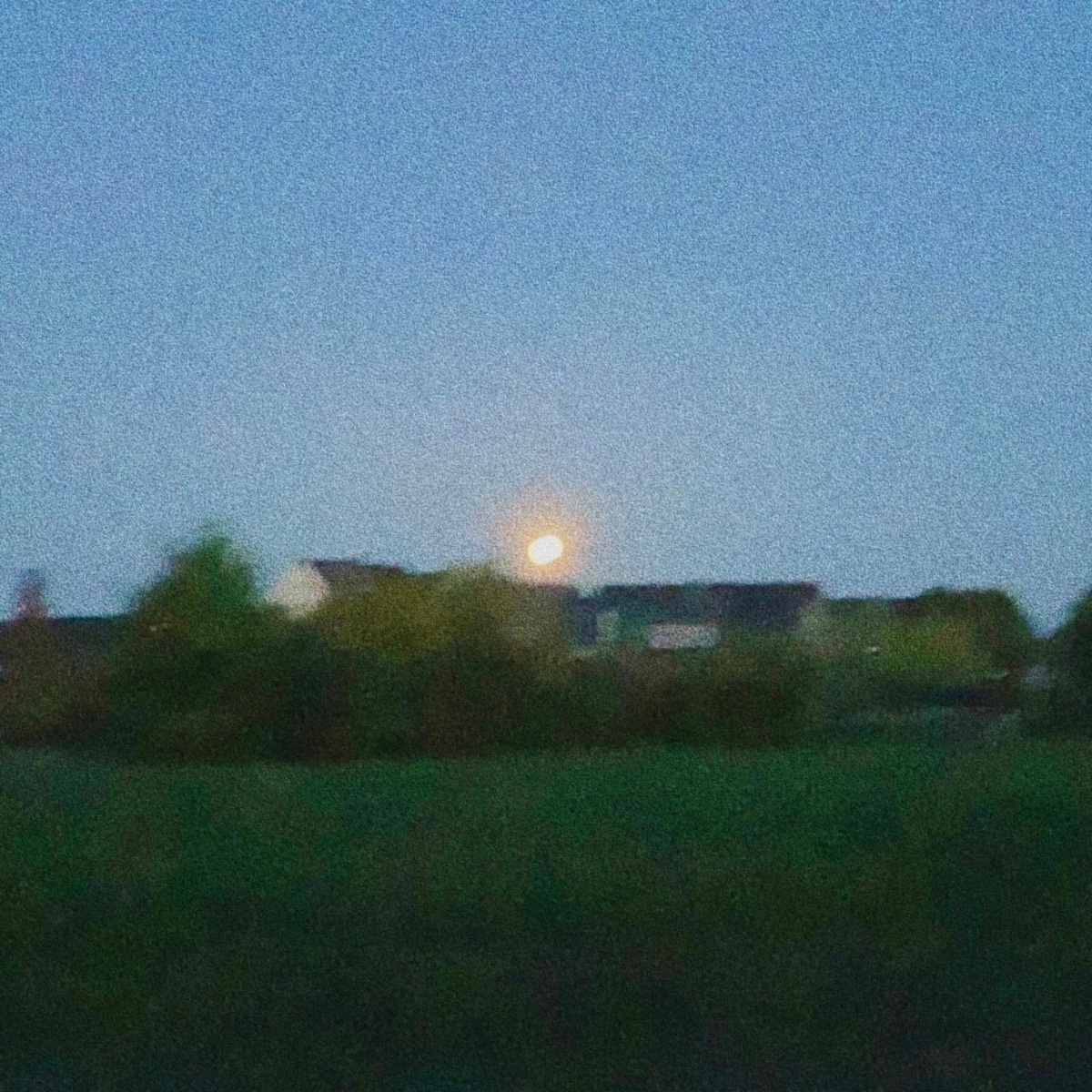 moon rise - Single by daniel.mp3 & ZAMARO album cover