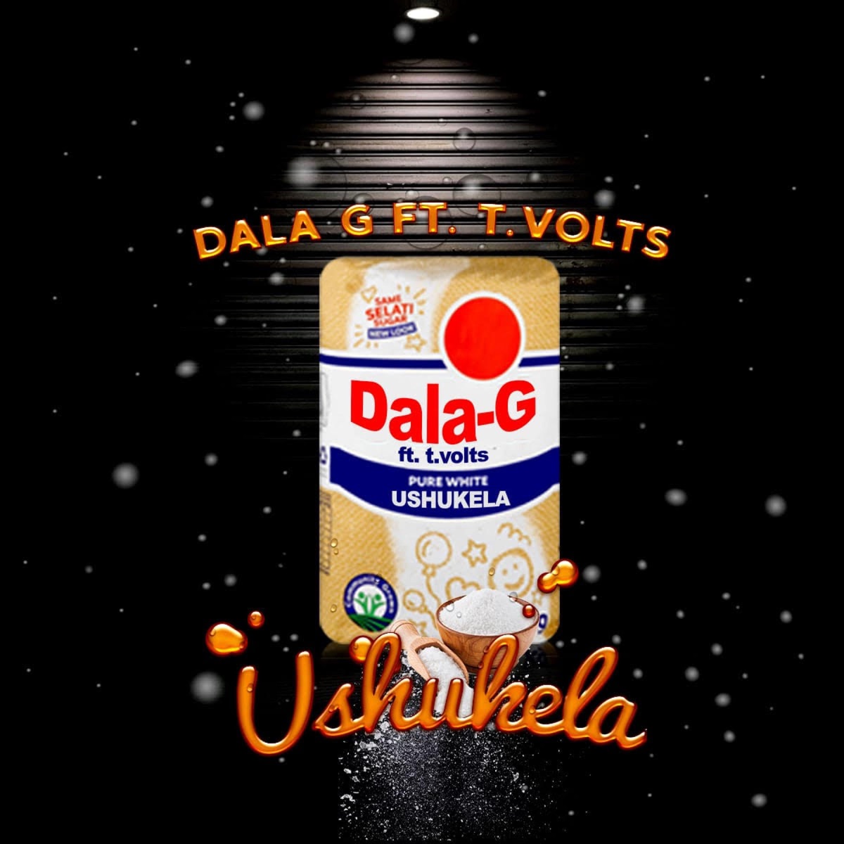 Ushukela - Single by Dala G album cover