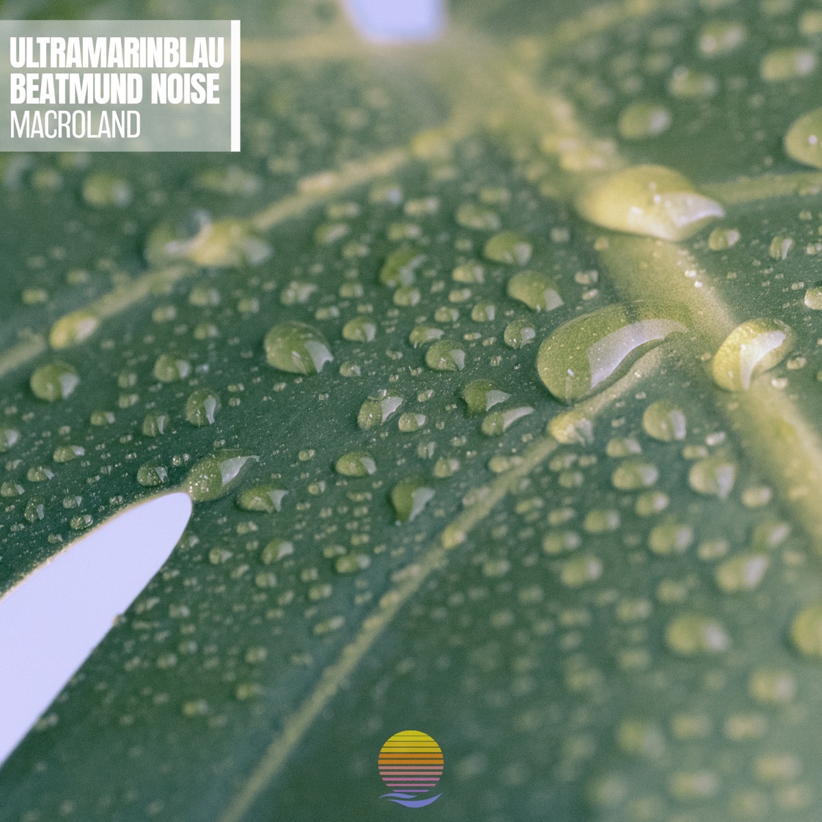 Macroland - Single by Beatmund Noise & Ultramarinblau album cover