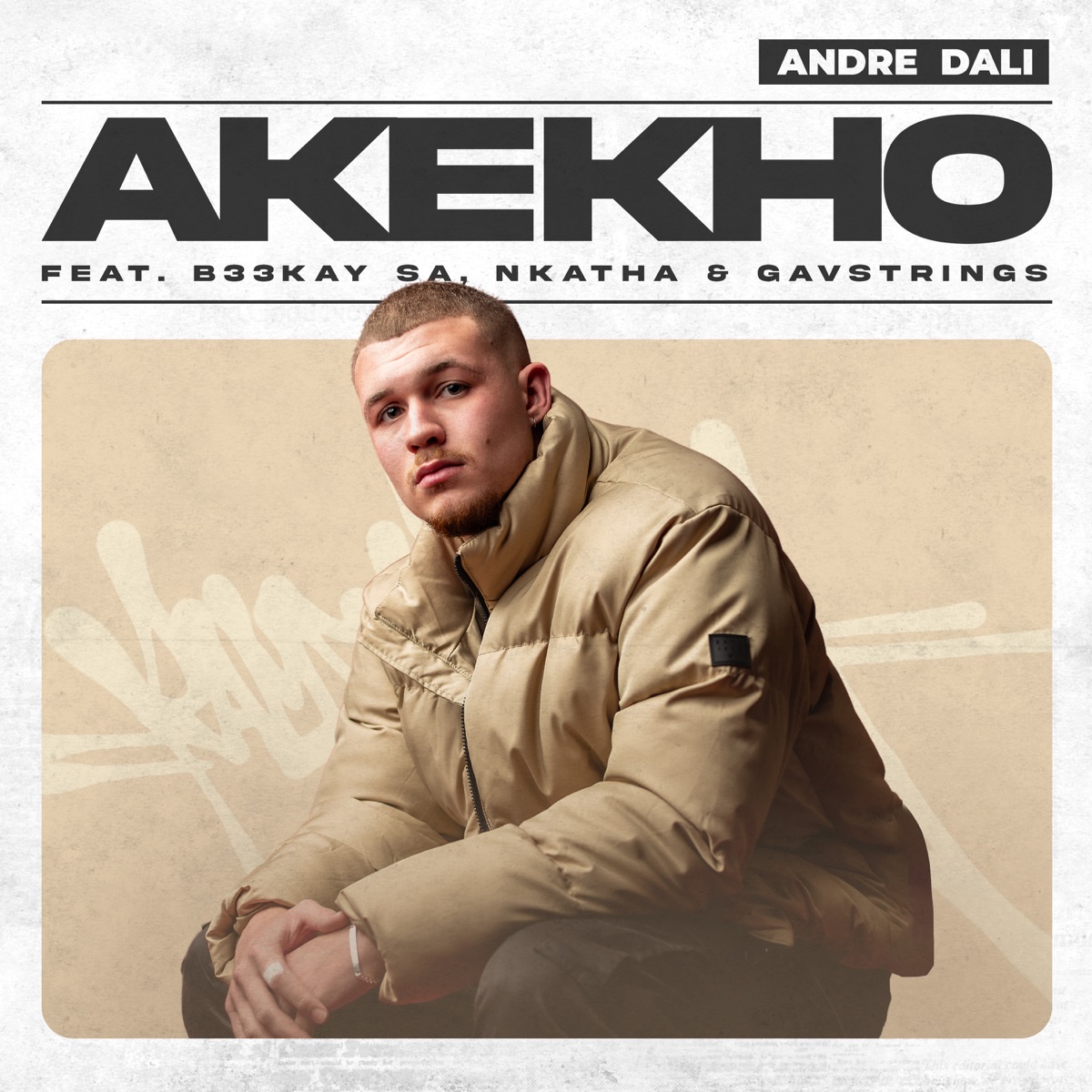 Akekho (feat. Gavstrings, Nkatha & B33Kay SA) - Single by Andre Dali album cover