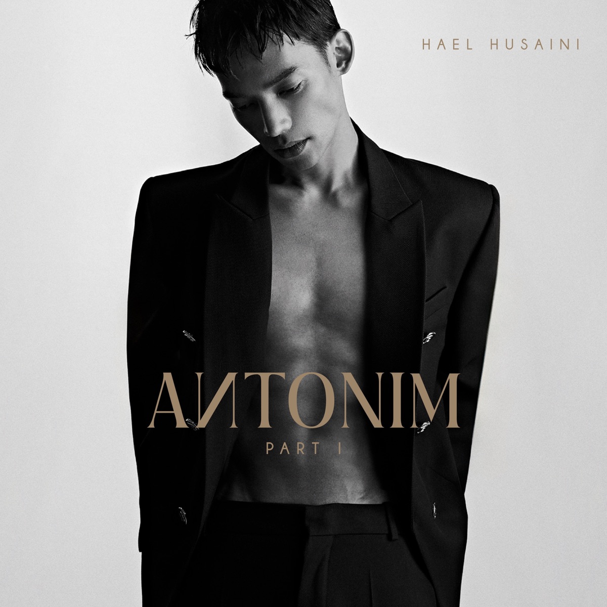 Antonim Pt. I - EP by Hael Husaini album cover