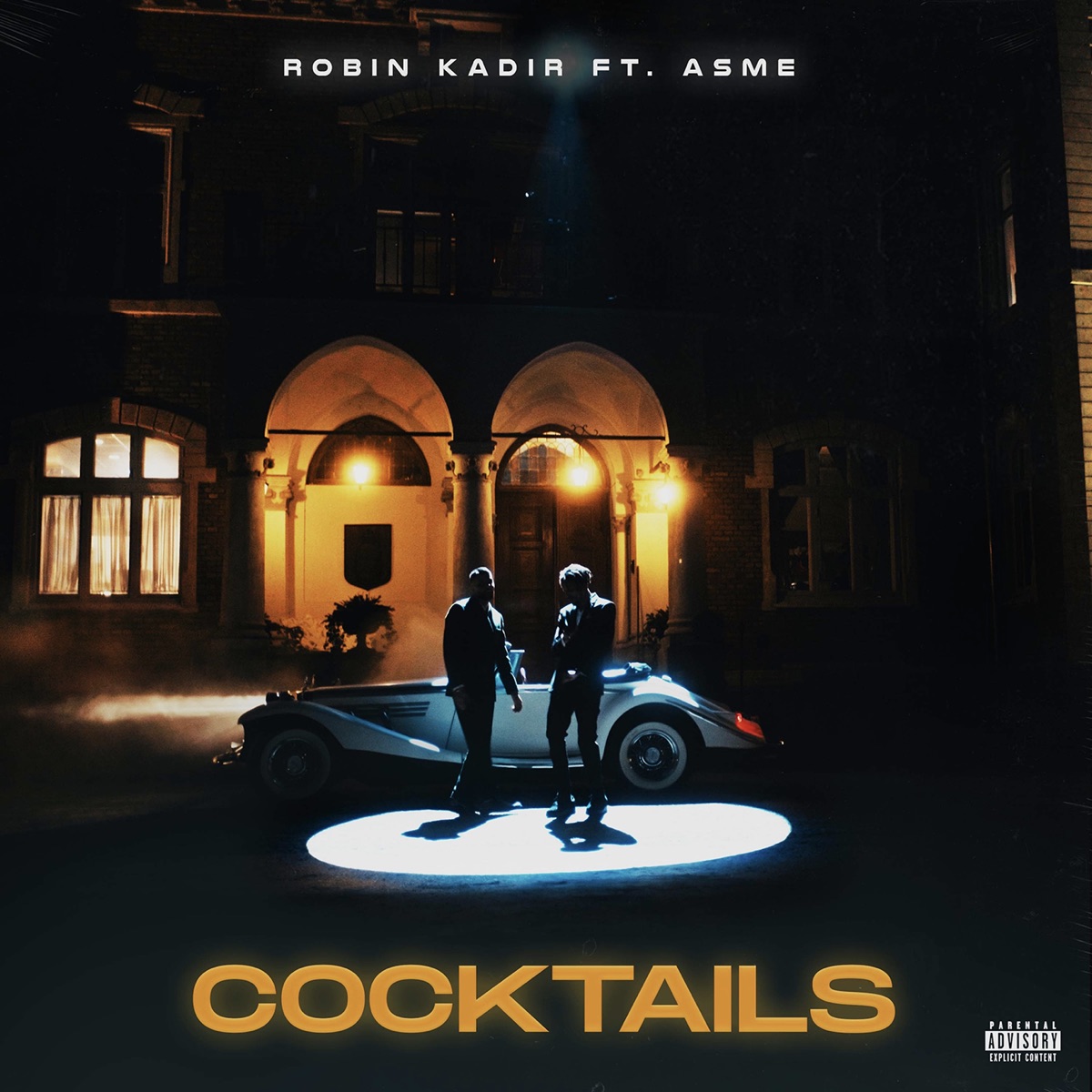 Cocktails (feat. Asme) - Single by Robin Kadir album cover