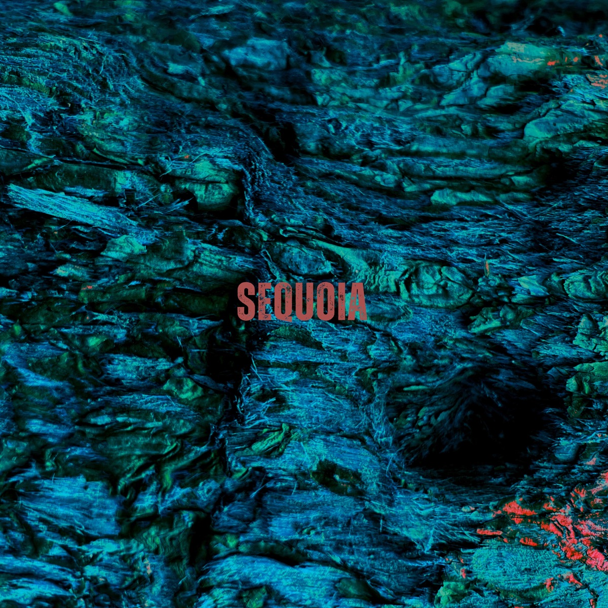 Sequoia - Single by Monitor Collective album cover