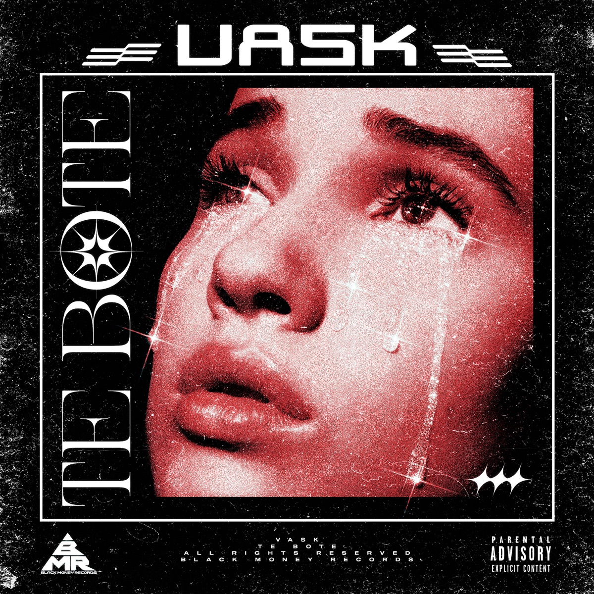 TE BOTE - Single by Vask & Destiny album cover