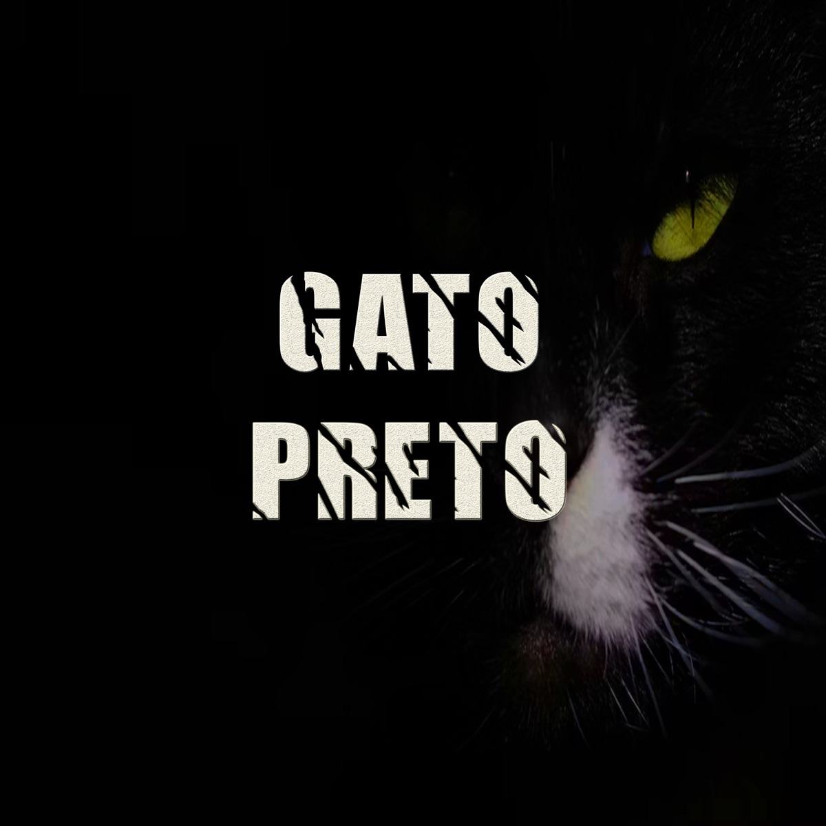 Gato Preto - Single by Dj Hud NoBeat & mc esmerald album cover