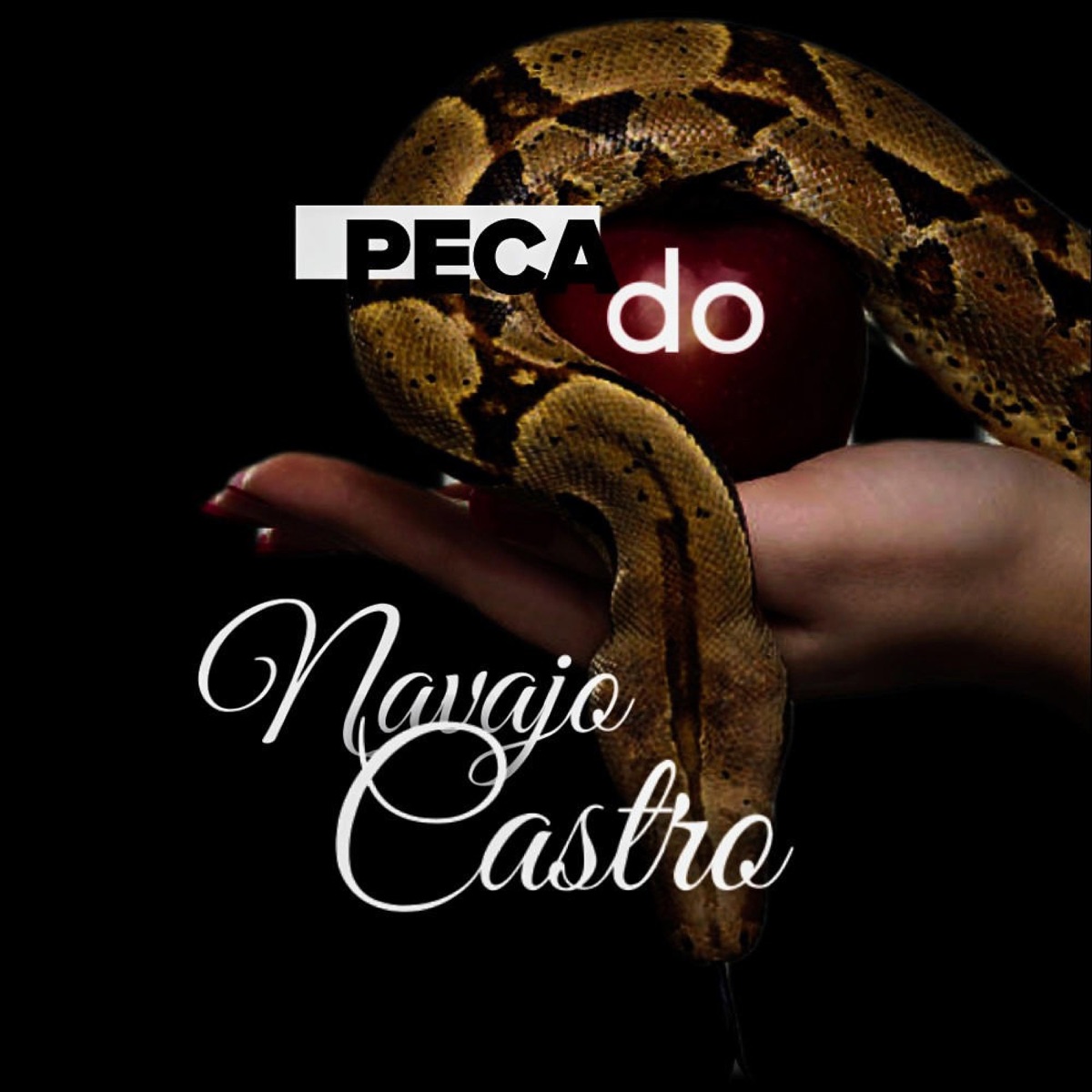 Pecado (feat. DIORITYENTERTAIMENT) - Single by Navajo Castro album cover
