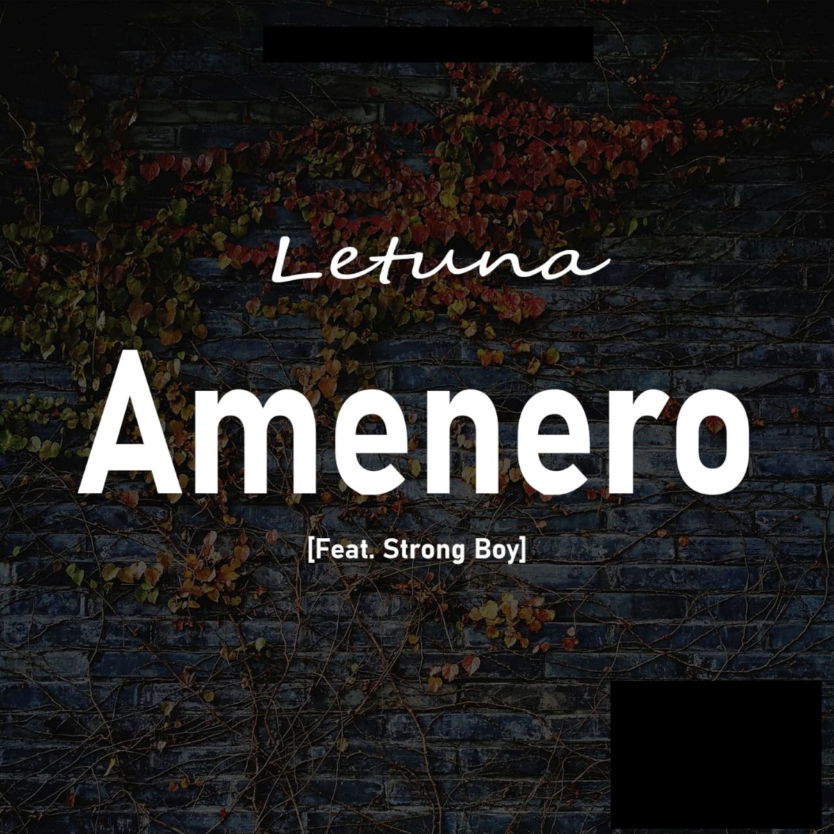 Amenero (feat. Strong Boy) - Single by Letuna album cover