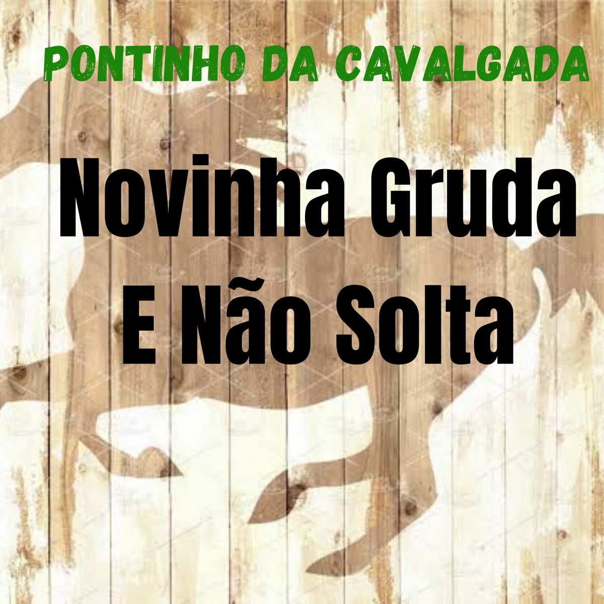 Pontinho da Cavalgada Novinha Gruda e Não Solta - Single by NT DO MANDELÂO & yokaio album cover