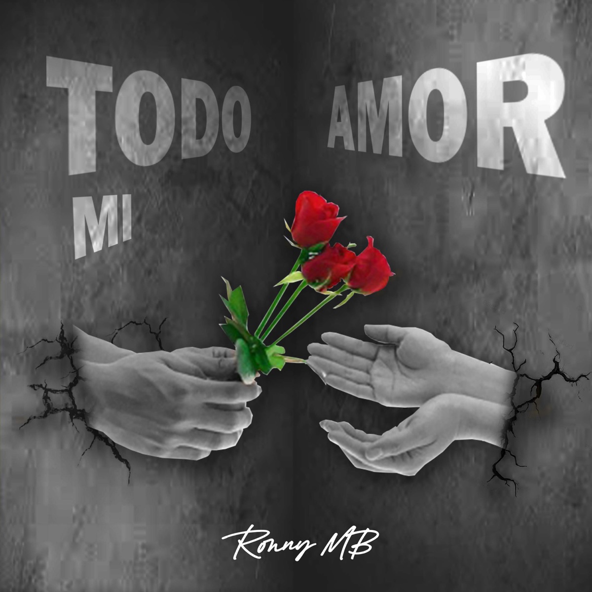 Todo Mi Amor - Single by RONNY MB album cover