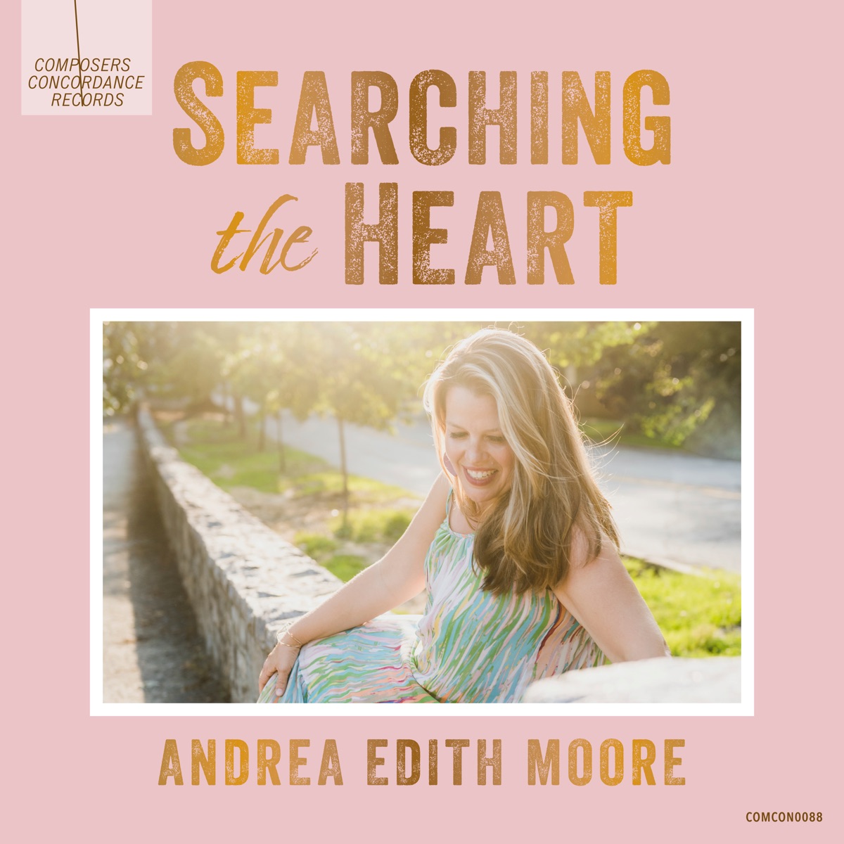 Searching the Heart by Andrea Edith Moore & Robert Brewer album cover