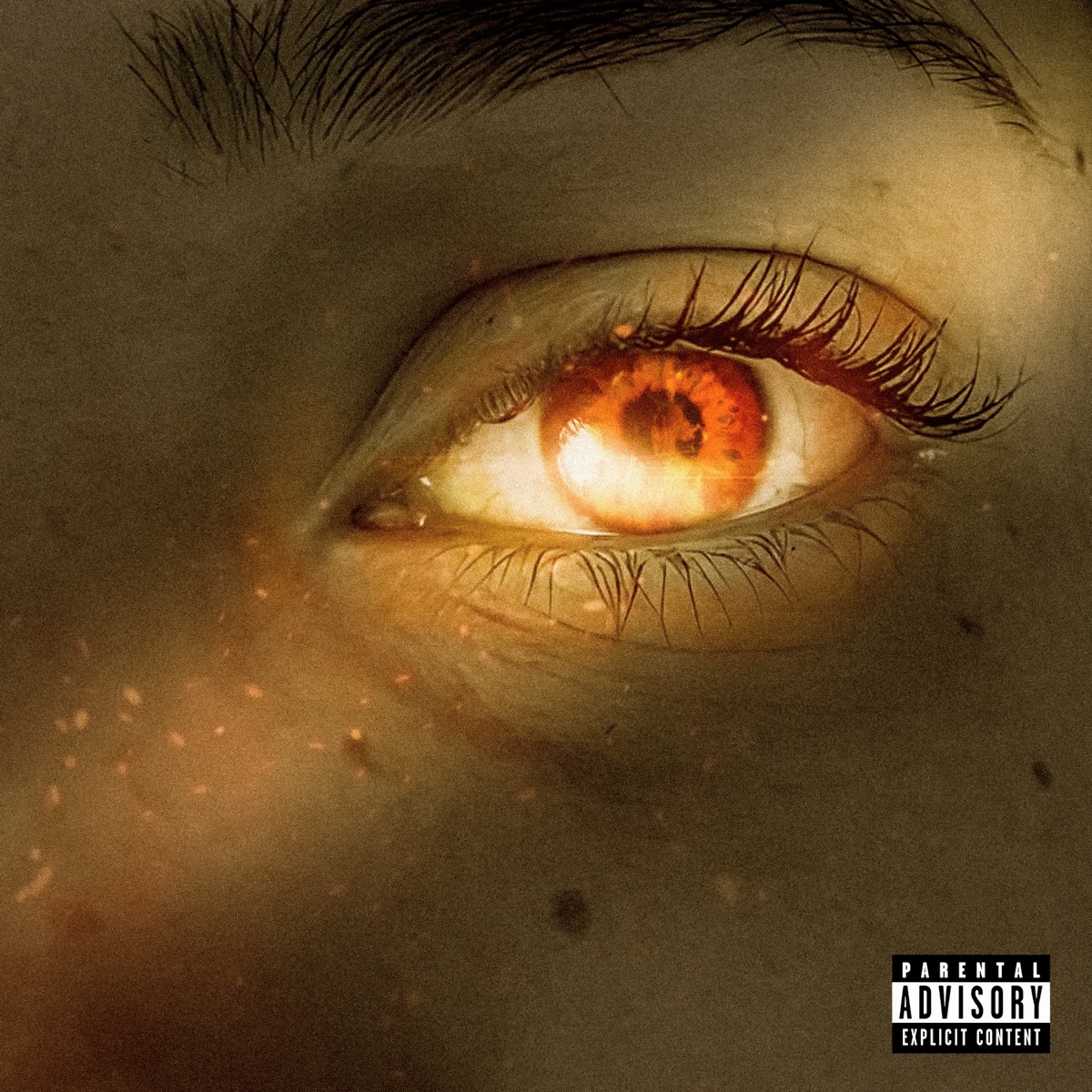Não Fica Solta - Single by Puzzo & Vivari album cover