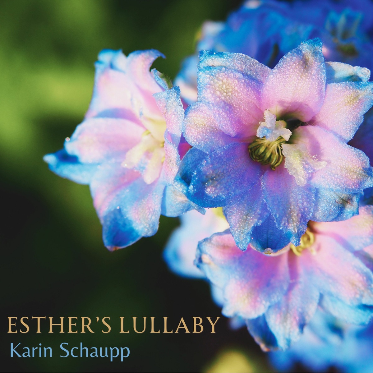 Esther's Lullaby (feat. Philip Moran) - Single by Karin Schaupp album cover