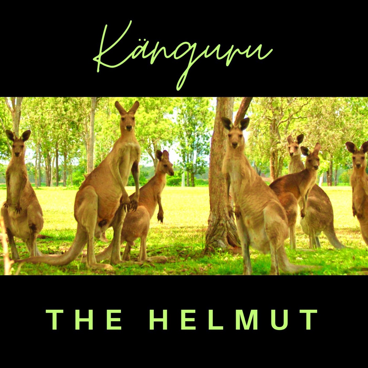 Känguru - Single by The Helmut album cover