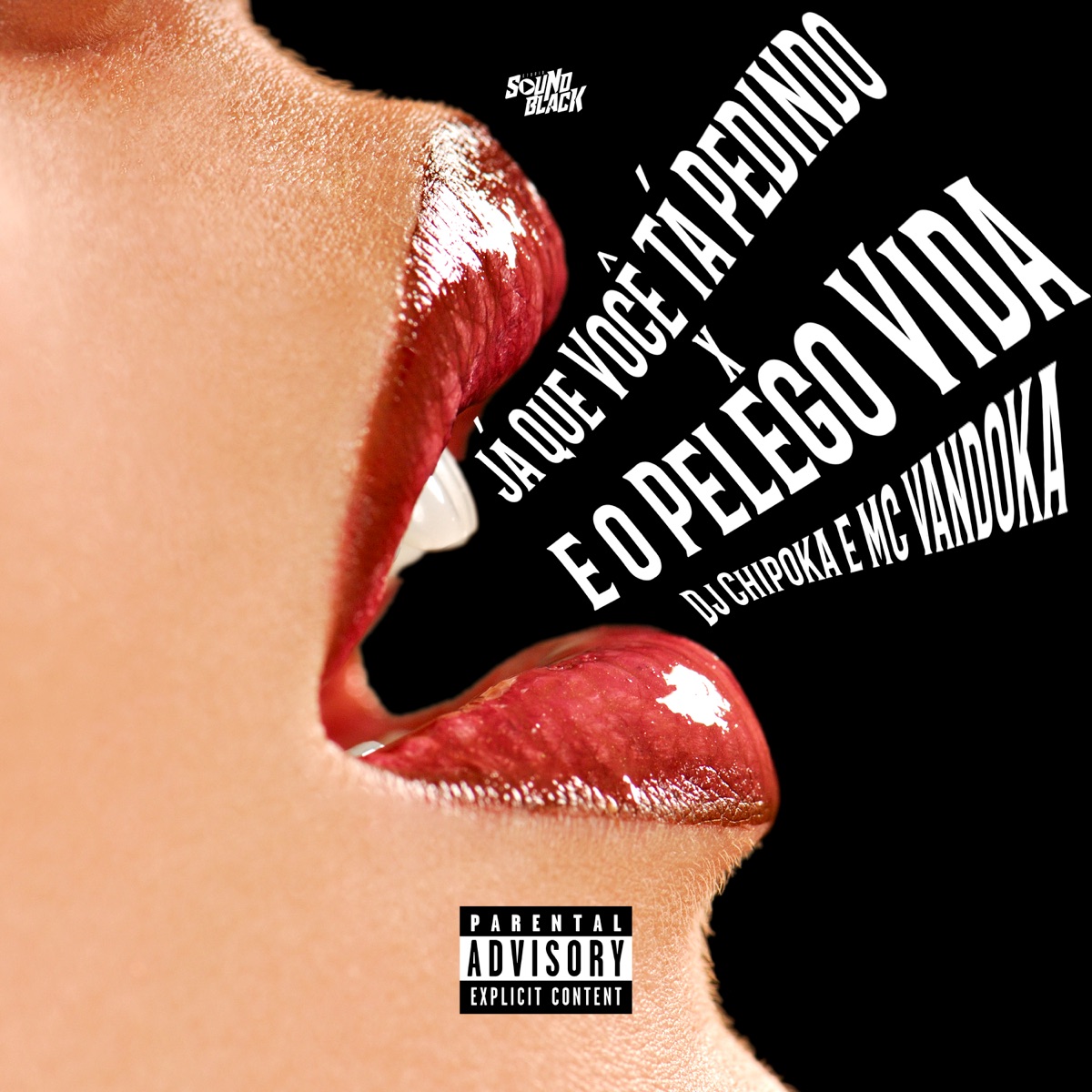Já Que Você Tá Pedindo X É o Pelego Vida - Single by DJ Chipoka & MC Vandoka album cover