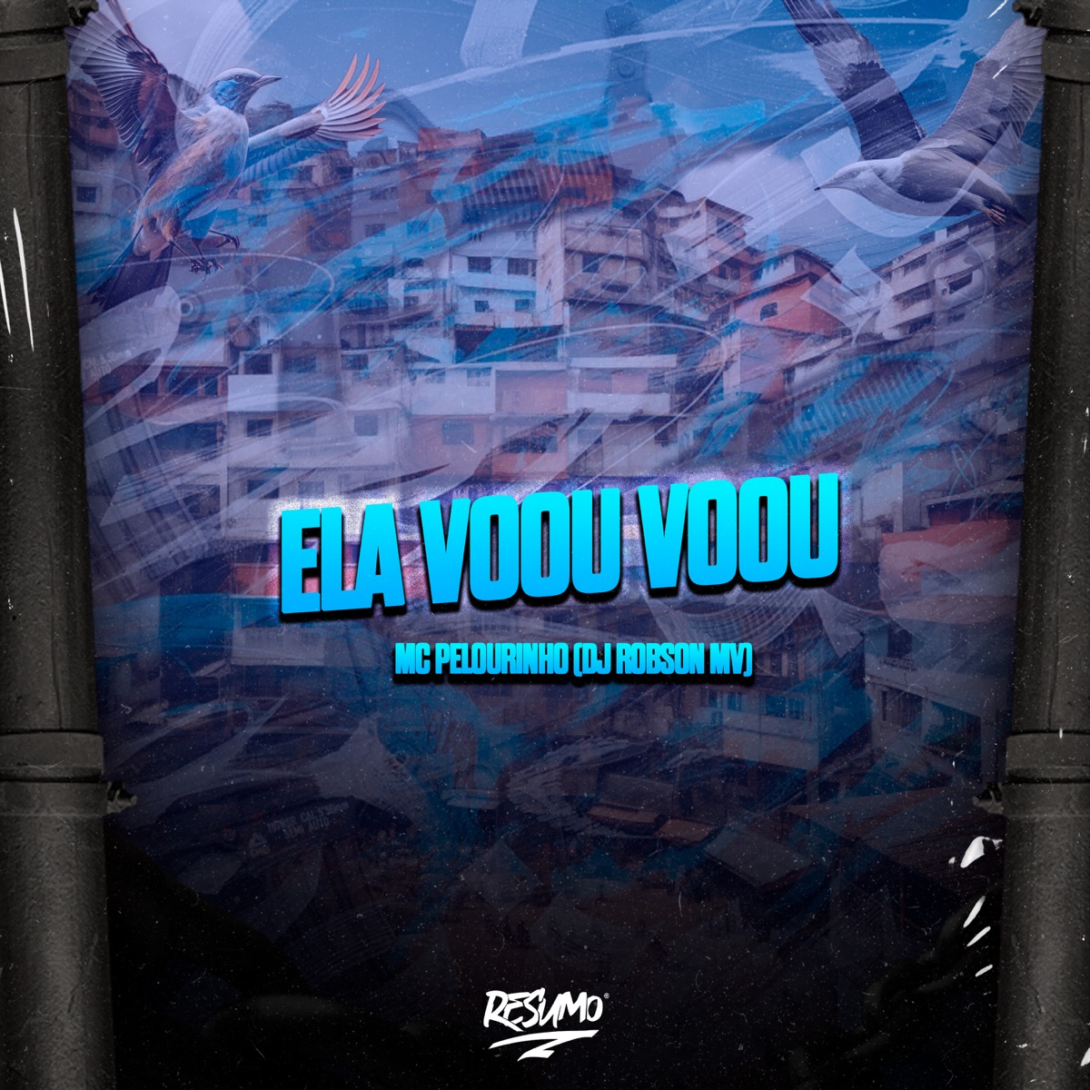 Ela Voou Voou - Single by MC Pelourinho & DJ Robson MV album cover