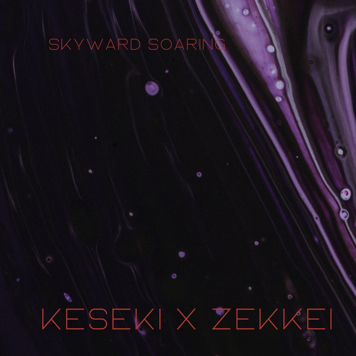 Skyward Soaring - Single by keseki & Zekkei album cover