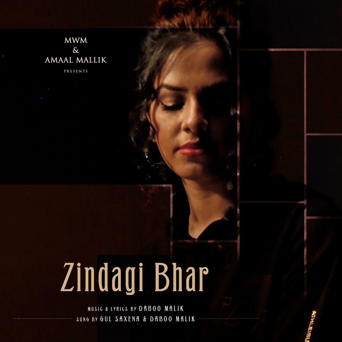 Zindagi Bhar - Single by Daboo Malik & Gul Saxena album cover
