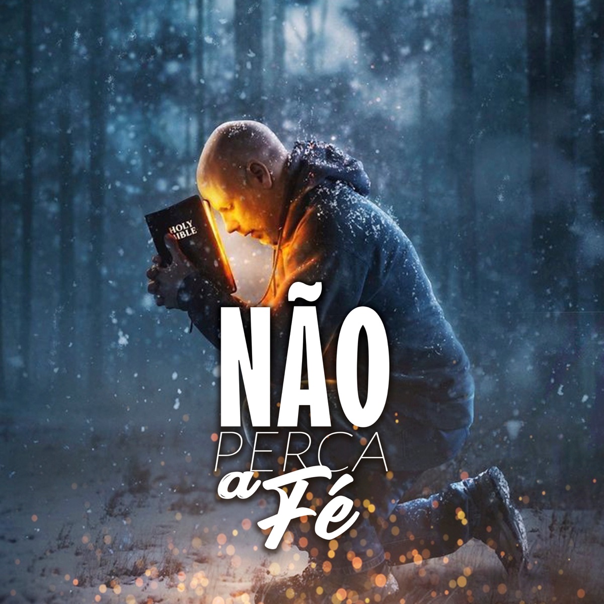 Não Perca a Fé - Single by R.A.V & 13 Cassinos album cover