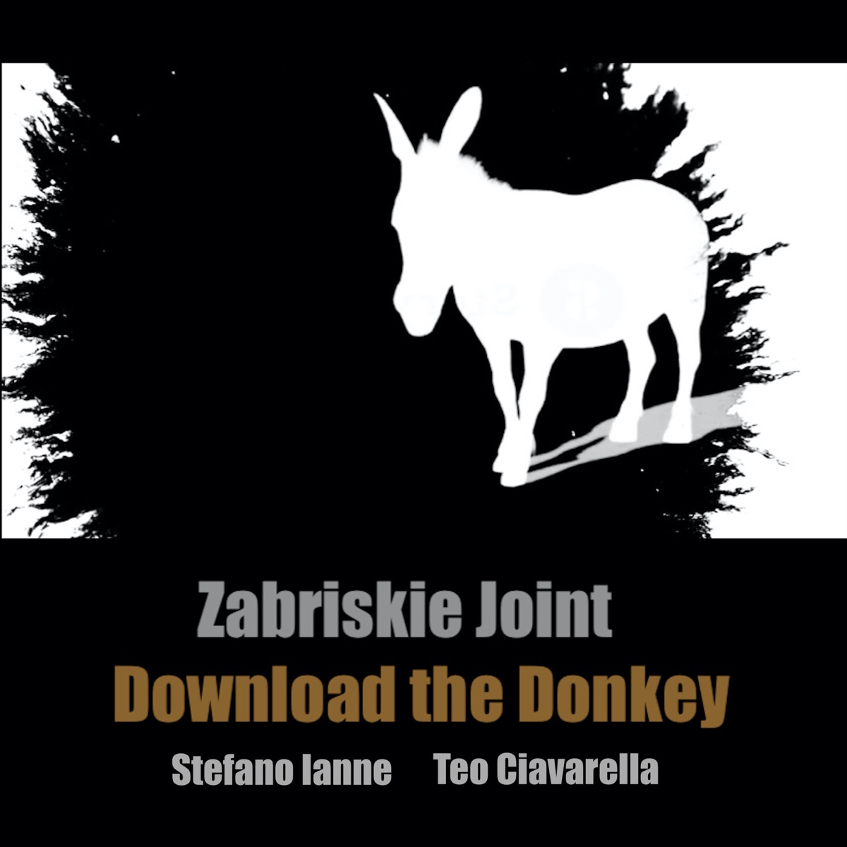Download the Donkey by Zabriskie Joint, Stefano Ianne & Teo Ciavarella album cover