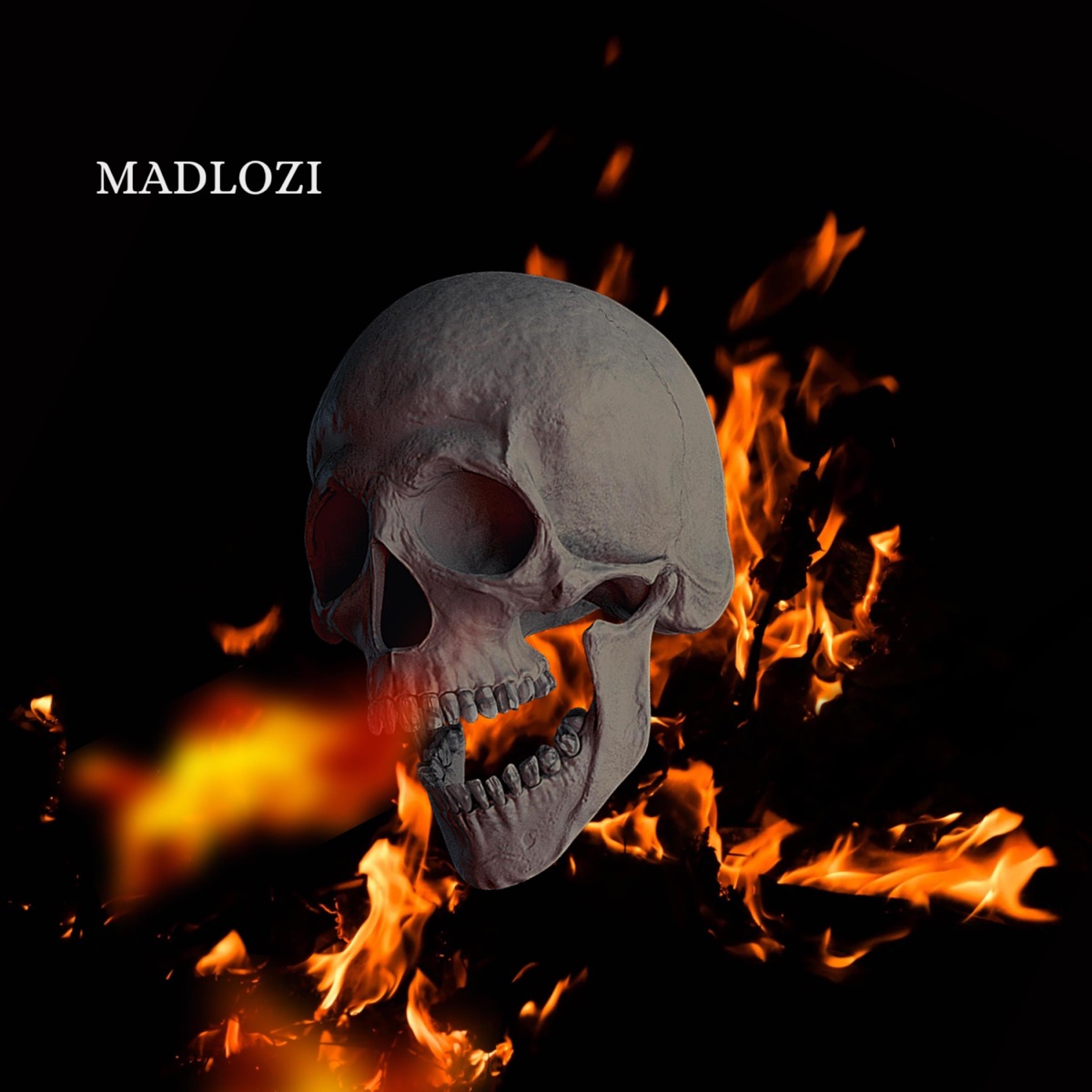 Madlozi (feat. D$llarman, Trap Rapper Thugs & ThatGuyCtn) - Single by Maharaj_Right album cover