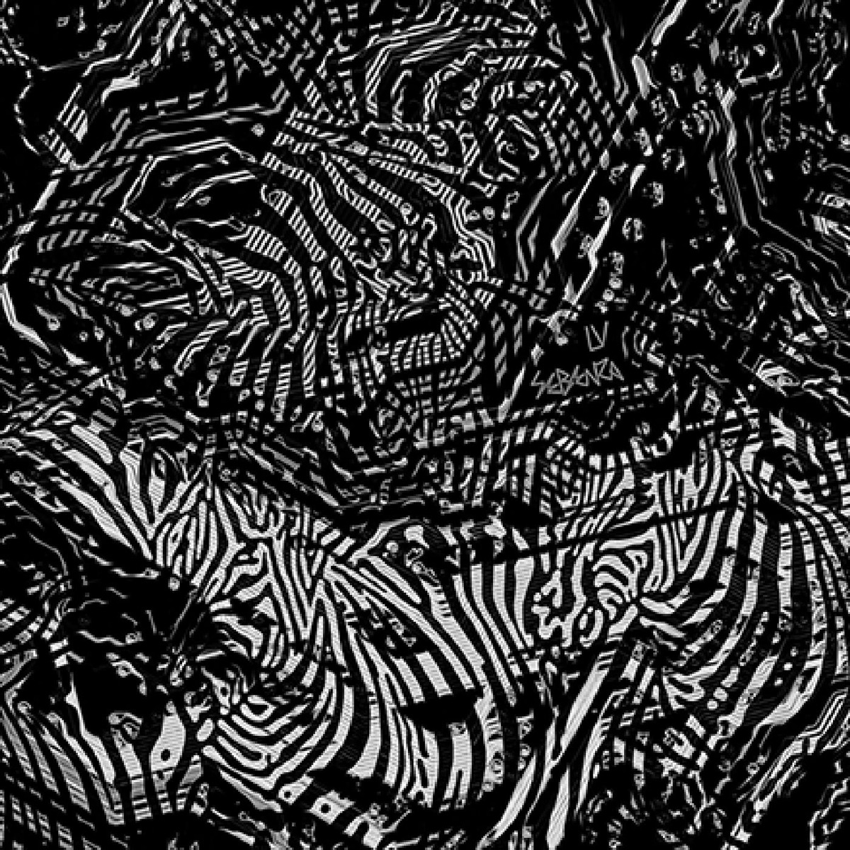 Sebenza by LV album cover