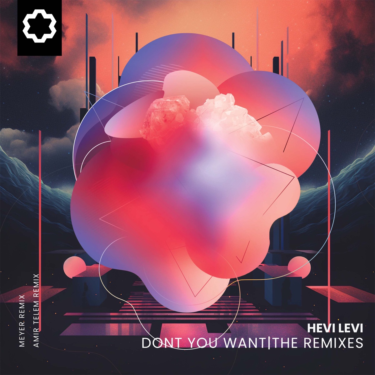 Don't You Want (The Remixes) - Single by Hevi Levi, Amir Telem & Meyer album cover